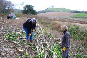 Hedgelaying Stoke Abbott