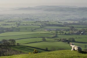 Pilsdon Pen Marshwood Vale