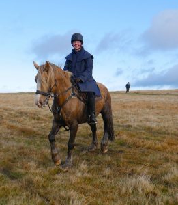 Sara Hudston on Fudge on Exmoor