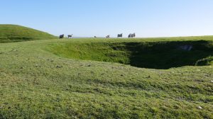 Sheep, barrow and shakehole Bronkham Hill