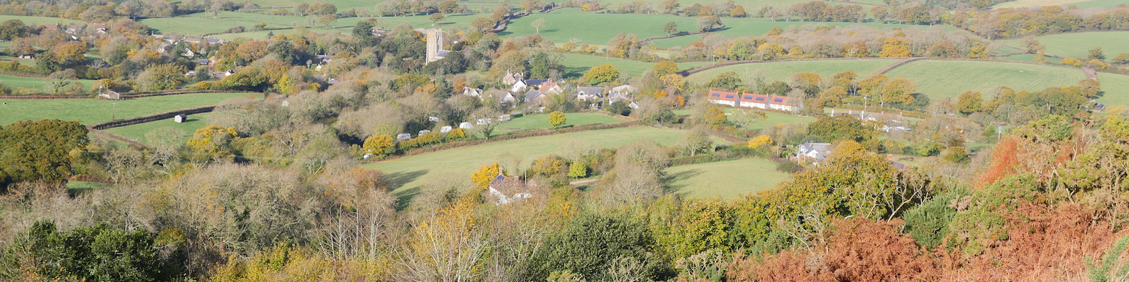 A walk on Hardown Hill