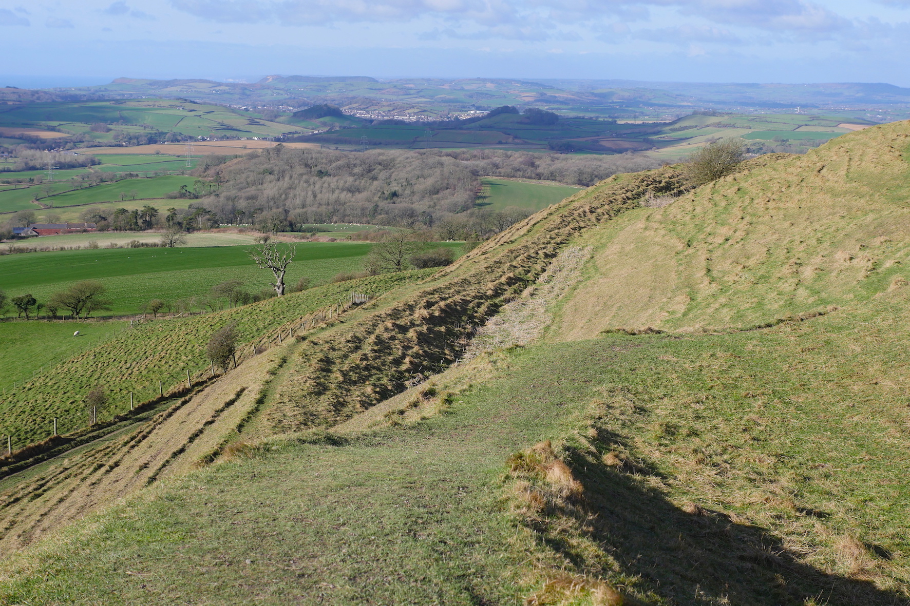 Two Dorset walks: Eggardon Hill and East Chaldon to Durdle Door
