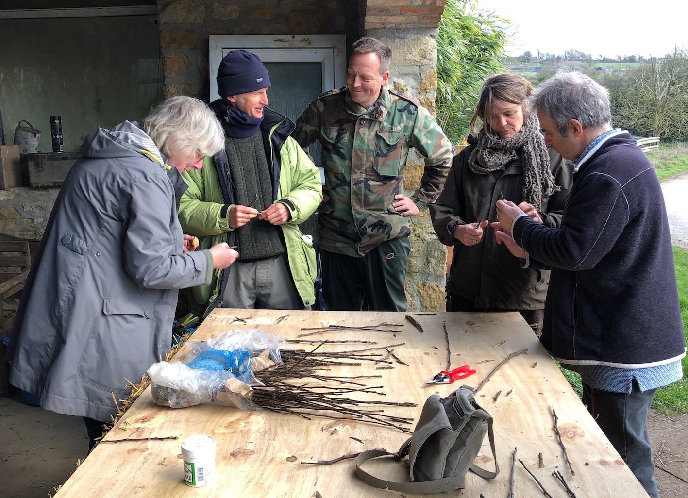 Grafting to make new apple trees