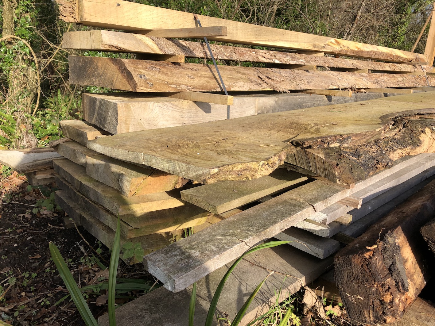 Sawmill provides shelter from the storm