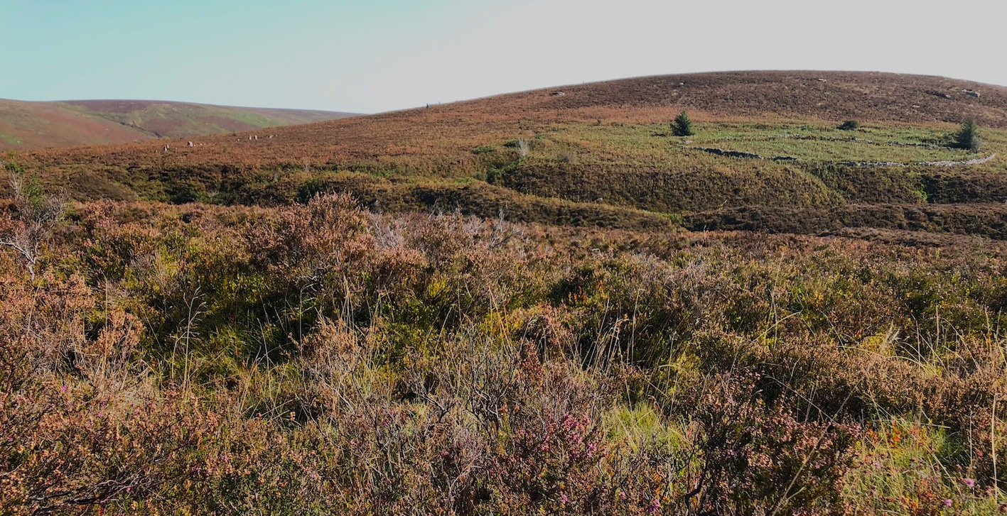 Deep in the bones of the moor at Chaw Gully