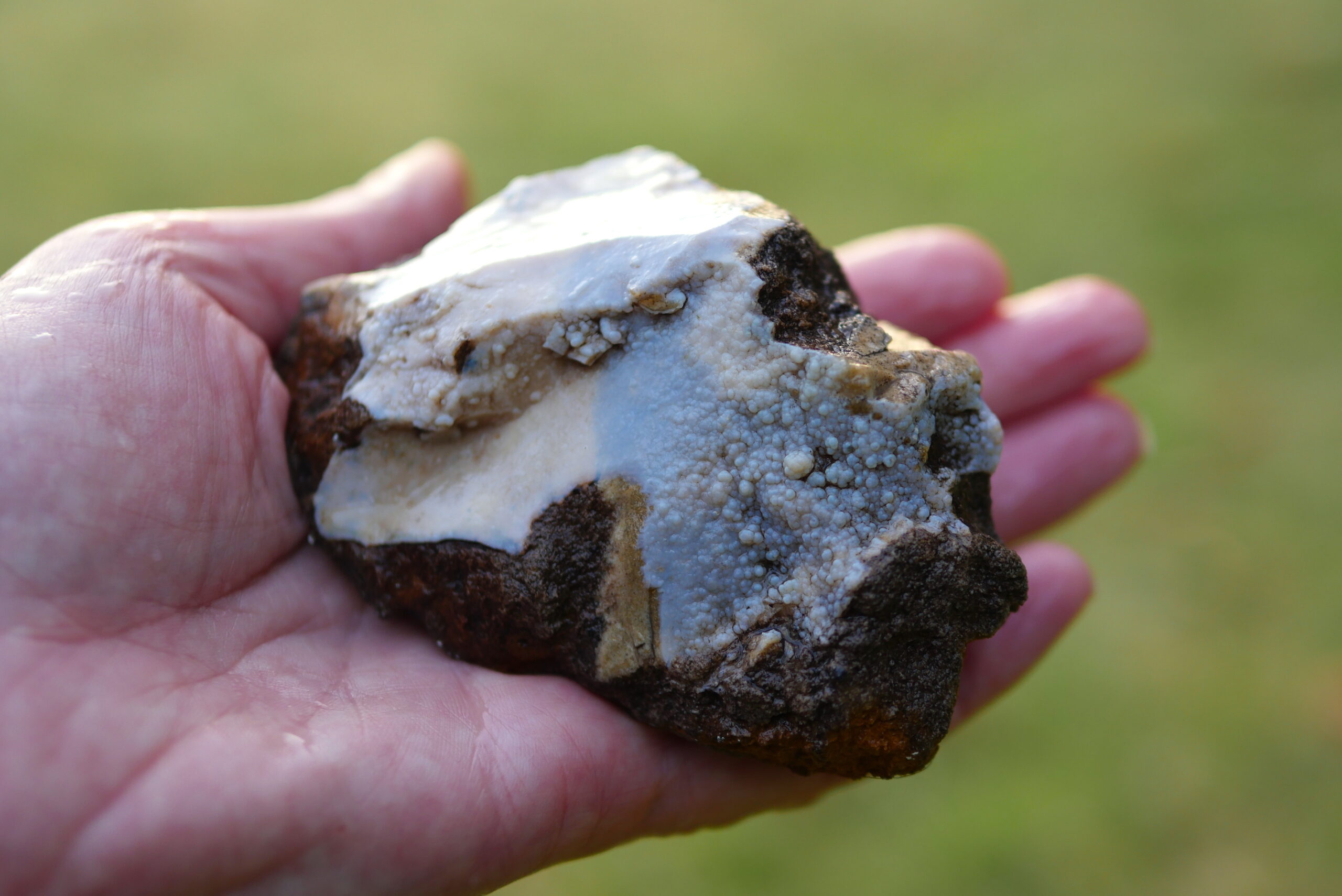 Quarrying chert on Hardown Hill